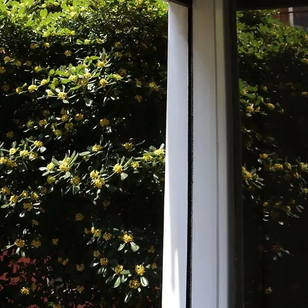 Venezia Lovely Gasthuis Venetië-Lido