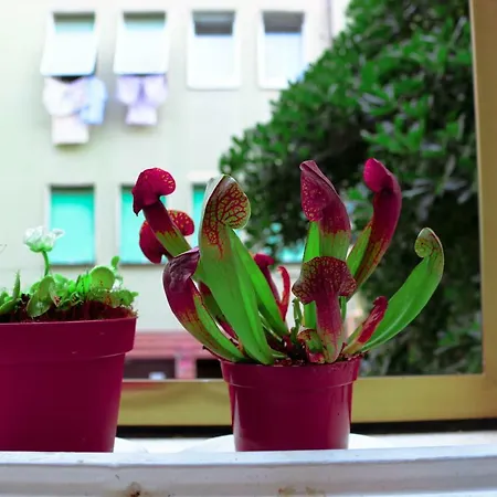 Venezia Lovely Gasthuis Venetië-Lido