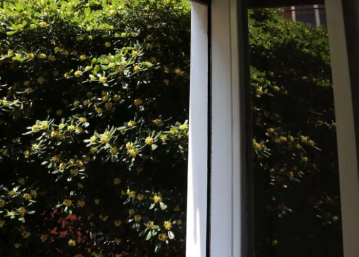 Venezia Lovely Konukevi Venedik-Lido