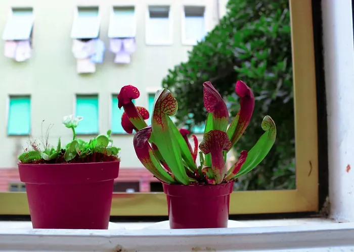 Venezia Lovely Konukevi Venedik-Lido