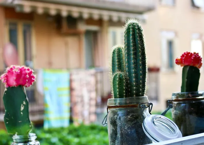 Venezia Lovely 3* Venedik-Lido